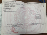 Cho thuê đất-Garden for rent